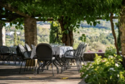 Descripción de la imagen